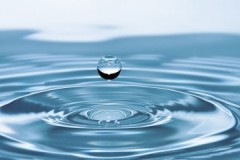 Vilken typ av vatten ska läggas i ånggeneratorn och varför?