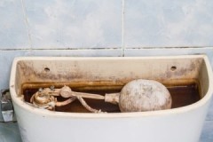 Receptes i mètodes sobre com netejar una cisterna del vàter de l’òxid a casa