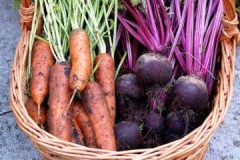 Normes i consells sobre com estalviar remolatxa i pastanaga per a l’hivern