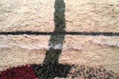 Available Methods and Tools for Removing Pet Hair from Carpet