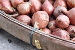 Taupant derlių: kodėl svogūnai supūva laikydami ir kaip jo išvengti?