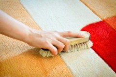 Berbagai jenis berus karpet, ciri, kelebihan dan kekurangannya