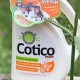 Granskning av gel för tvätt av sportkläder och skor Cotico: fördelar och nackdelar, kostnad, konsumenternas åsikter