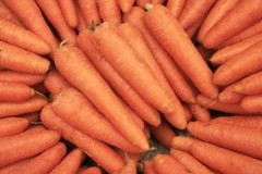 Kilka sekretów, jak przygotować marchewkę do przechowywania na zimę